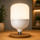 Lâmpada LED Bulbo 100W Super Branca Econômica Bivolt